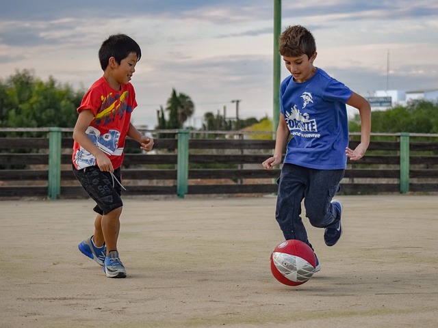 力与智慧的 力与智慧的