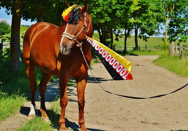 这一历史性 这一历史性