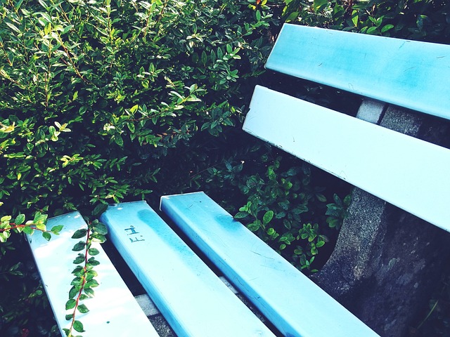 而玻利维亚 而玻利维亚